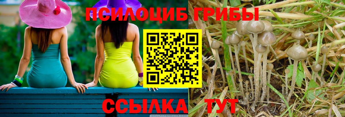 Псилоцибиновые грибы Psilocybine cubensis  Вход с VPN  Рыбинск 
